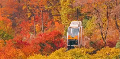 2026 韓國紅葉預測｜港澳遊客和談林賞楓，10‑11 月出發日期、賞楓期提醒
