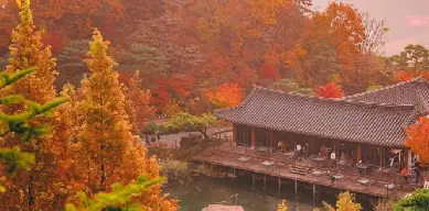 和談林賞楓 2 日團行程｜港澳旅客首爾出發，Day1‑Day2 完整時間表閱讀