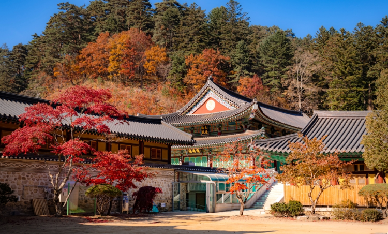 首爾出發 | 2025年韓國五臺山國立公園 賞楓一日遊 (韓劇<鬼怪>拍攝地)