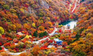 首爾出發 | 2025年韓國全羅北道內藏山賞楓一日遊(每日發車)