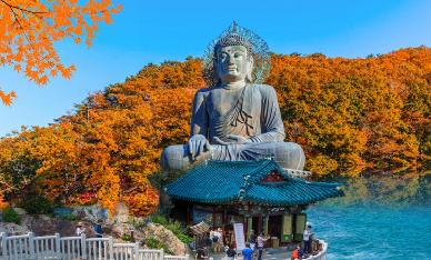 首爾出發 | 2025年韓國雪嶽山賞楓一日遊(每日發車,1人即可出行)