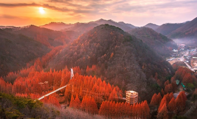 首爾出發 | 2025年韓國長泰山賞楓+足浴一日遊