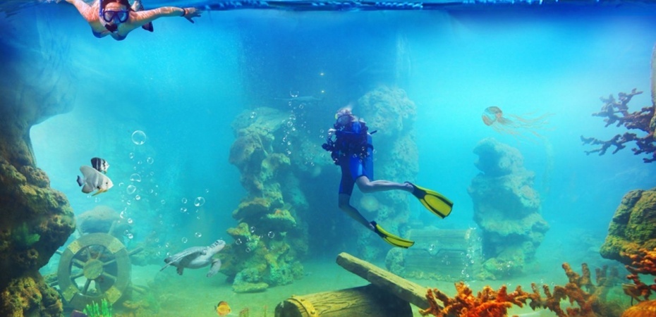 202411291413-6692239232.jpg 2.jpg