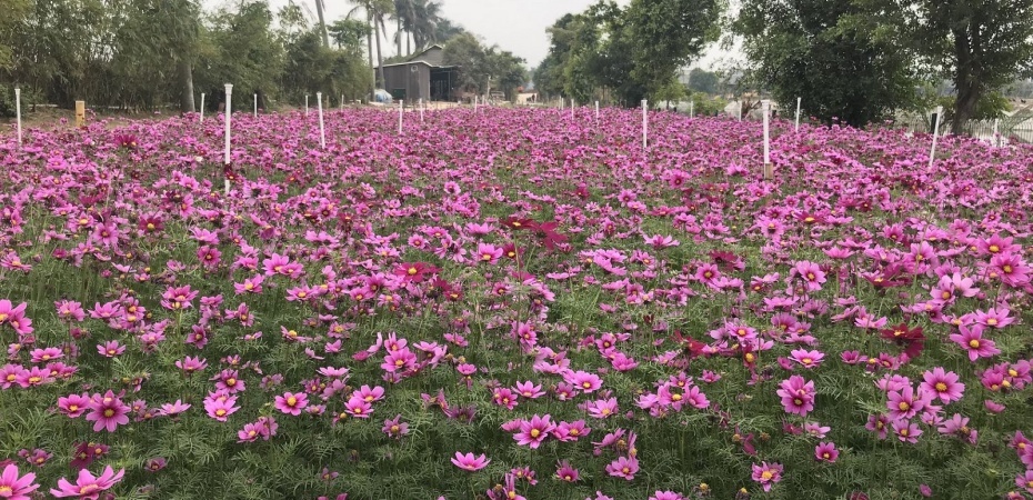 202411291415-6890339818.jpg 20.jpg