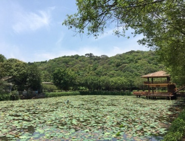 產品圖片