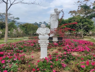 產品圖片