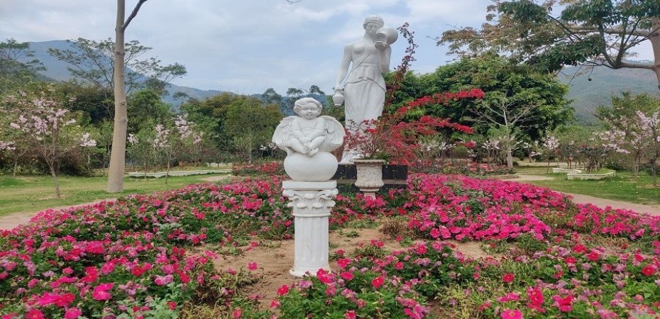 茶山櫻花谷5.jpg