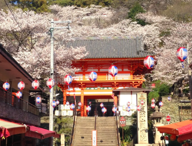 產品圖片
