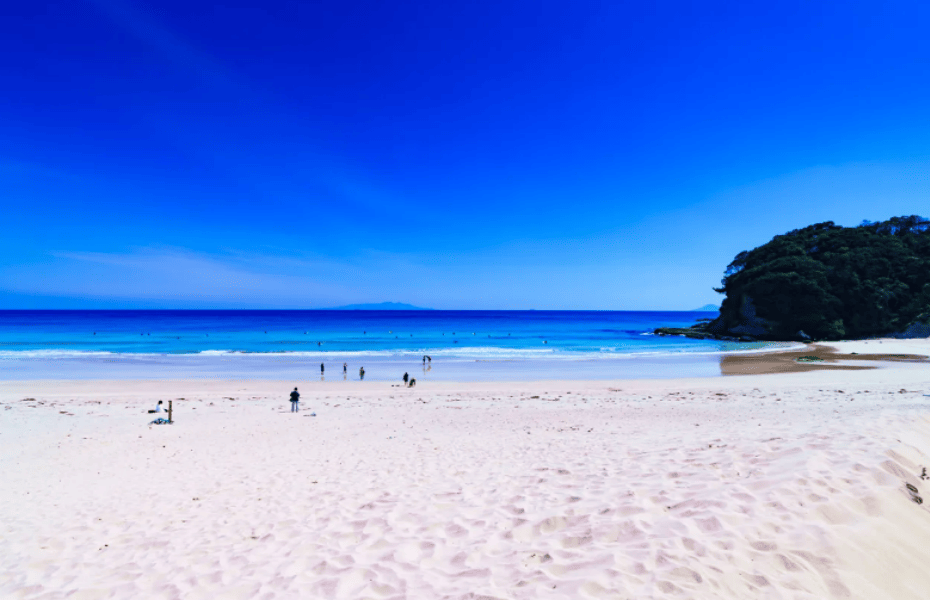 白浪滨1.png