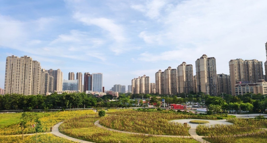 千灯湖13.jpg
