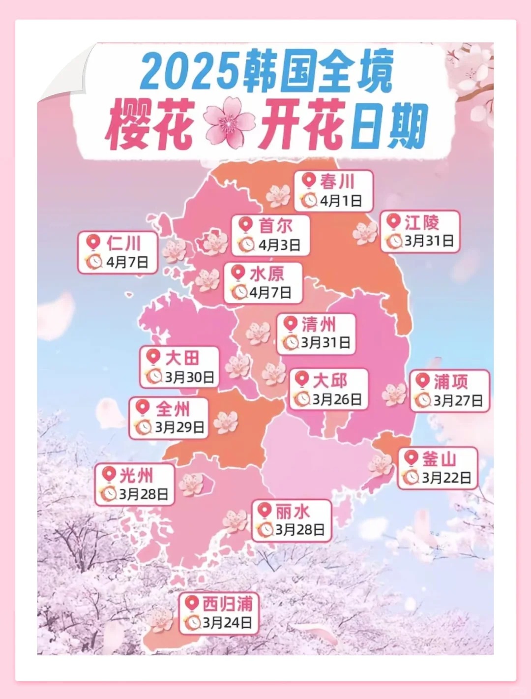 🌸🌸韩国2025年樱花开放预测_1_小红薯67B5A744_来自小红书网页版.jpg