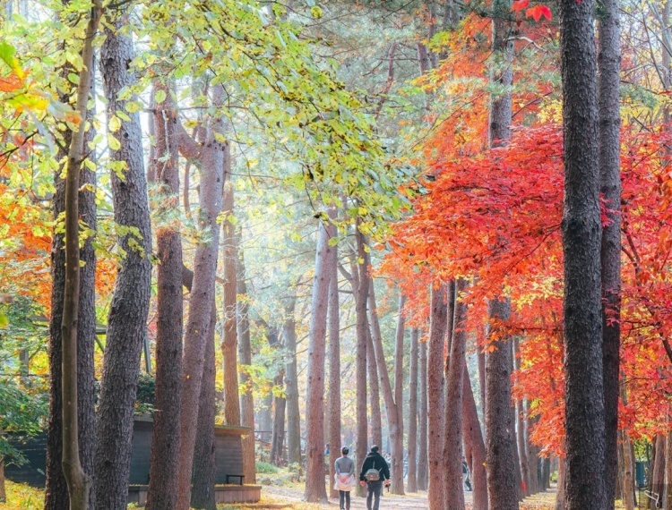 產品圖片