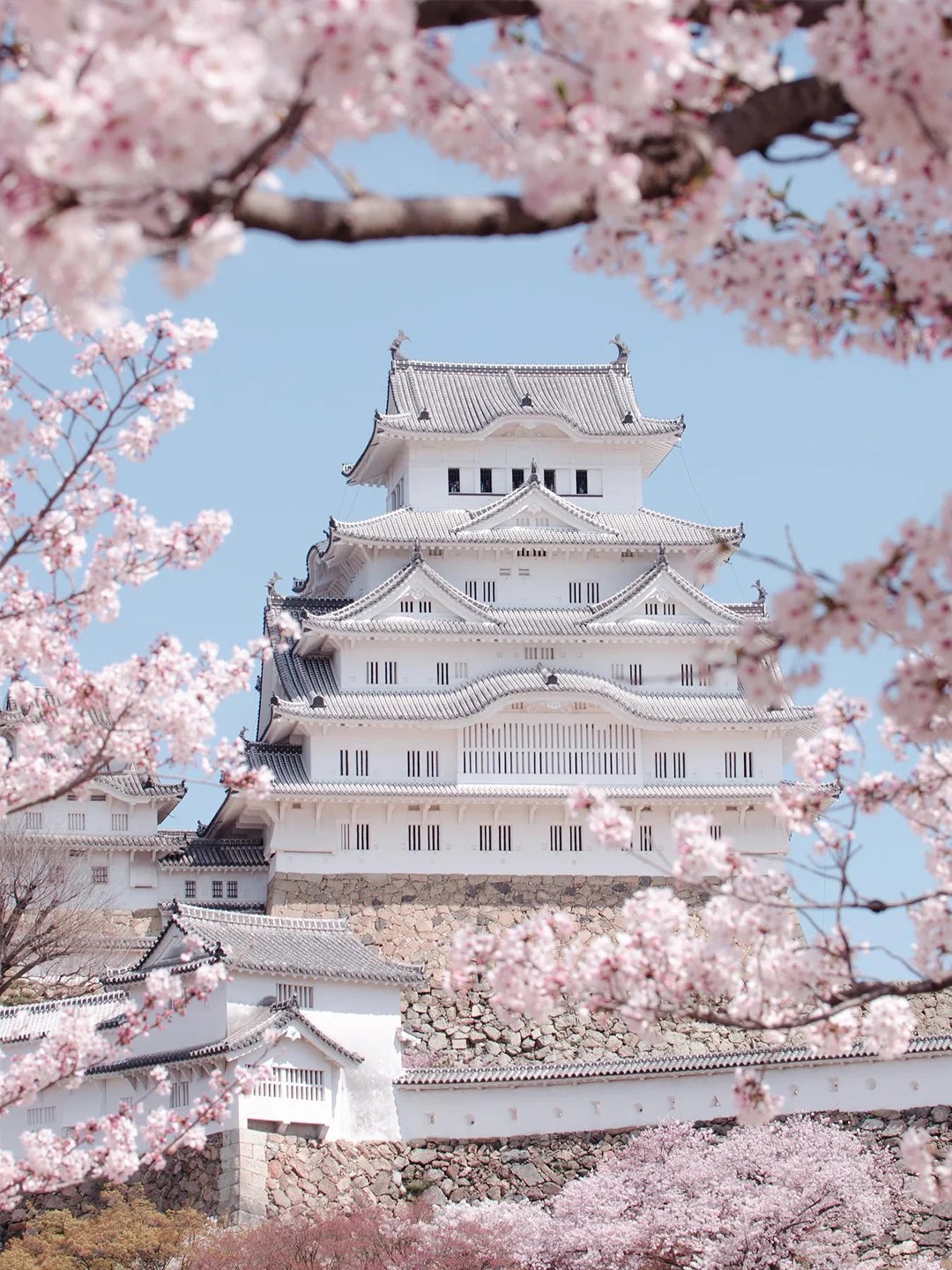 日本国宝🏯樱花下绝美🌸粉色城堡姬路城😍_4_霓虹旅行觀光局·宿泊指南_来自小红书网页版.jpg