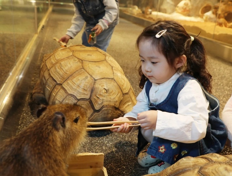產品圖片