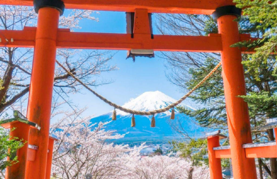 新仓山1.png