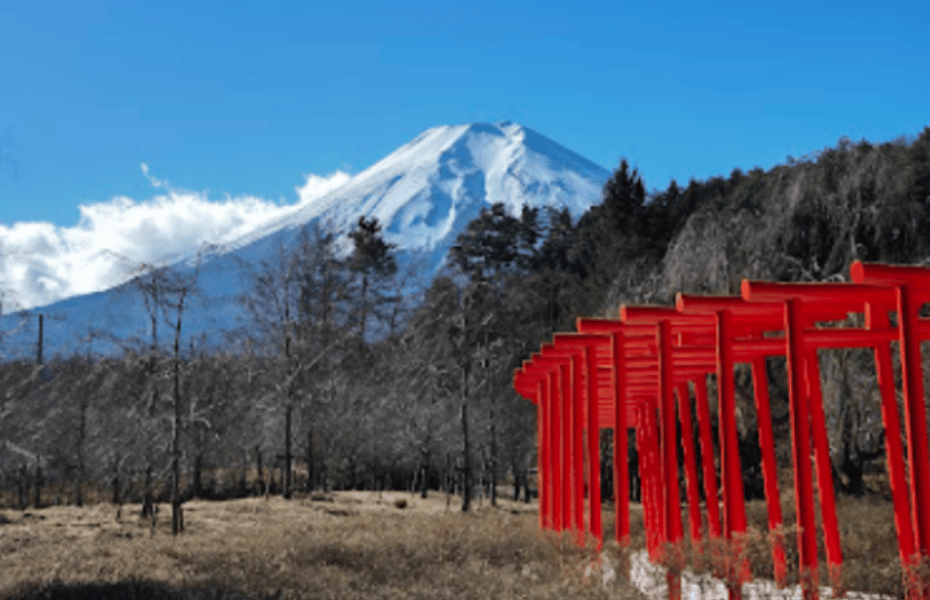 忍野忍村.png