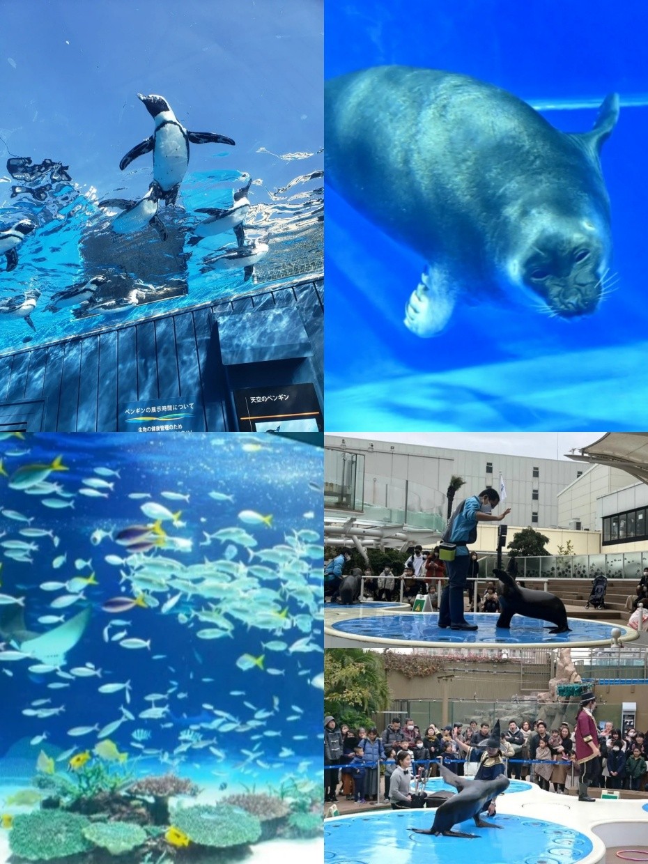 拼图.jpg