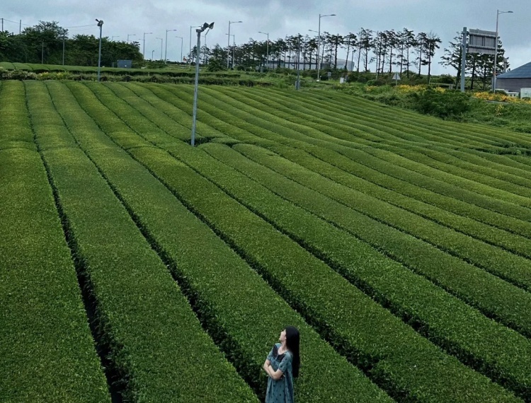 產品圖片
