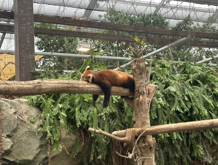 產品圖片