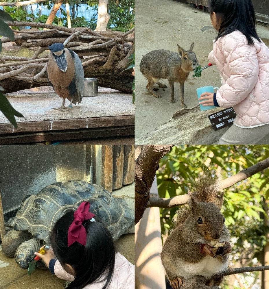 喂食.jpg