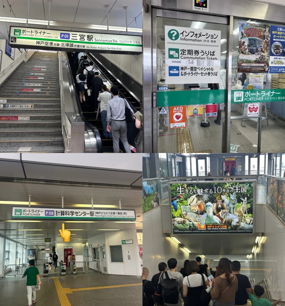 交通指示.jpg