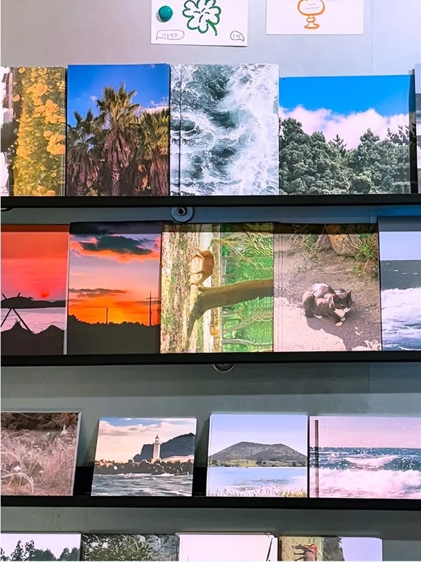 济州岛3.png