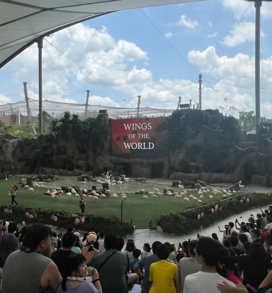 930-天际剧场表演.jpg