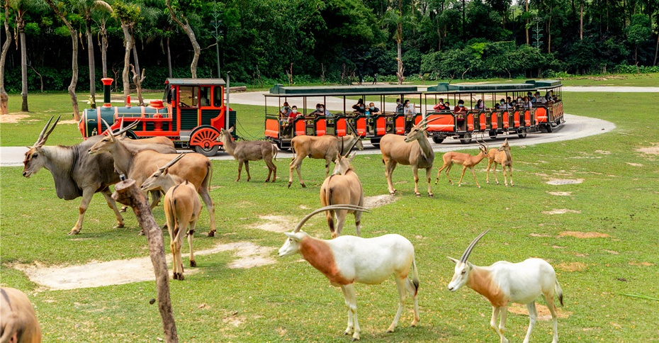 廣州野生動物園930-2.jpg