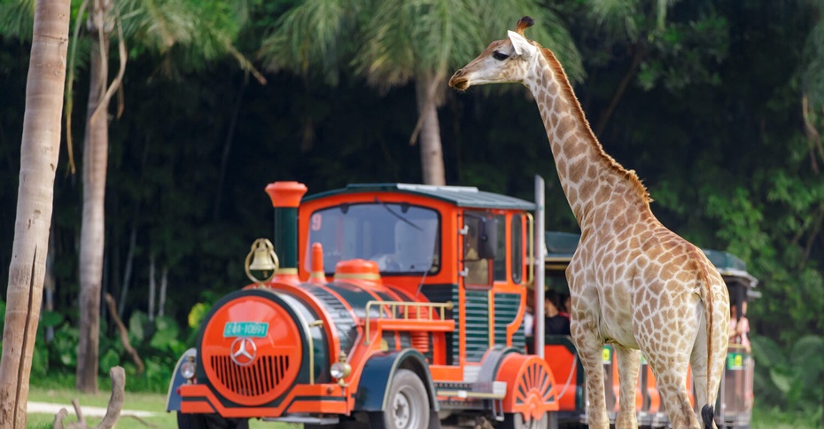 廣州野生動物園930-5.jpg