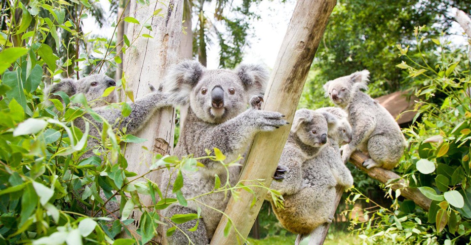 廣州野生動物園930-10.jpg