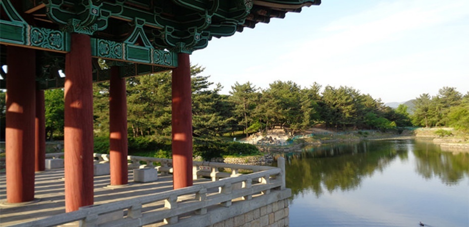 雁鴨池3.jpg