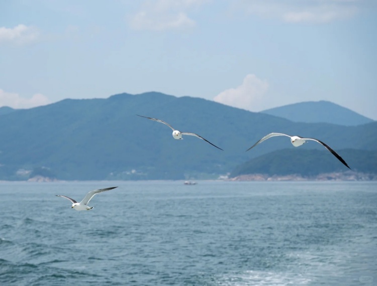 韩国 巨济岛거제도_6_park_来自小红书网页版.jpg
