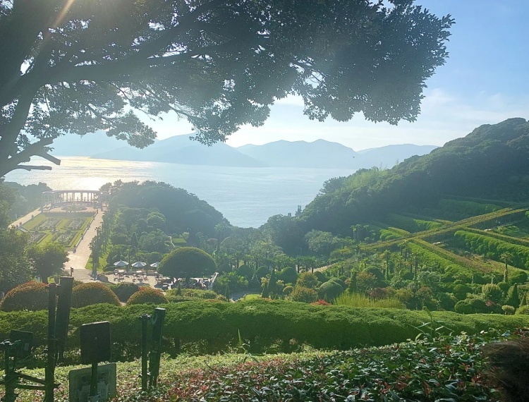 🇰🇷巨济岛｜隐藏在小岛上⛰️的秘密花园_14_zVvQIn.7_来自小红书网页版.jpg