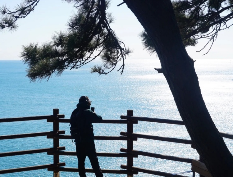 🌊釜山最美山中海边步道 比任何景点都值得_3_earthsquirrel_来自小红书网页版.jpg