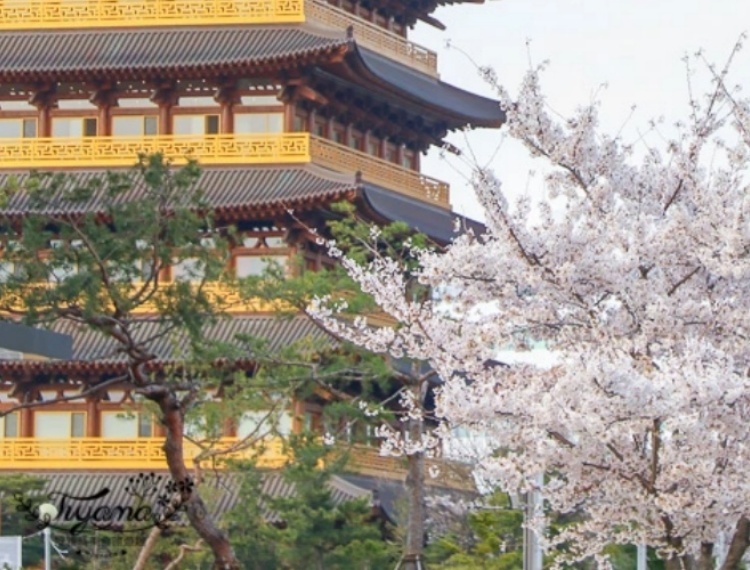 皇龍院3.jpg