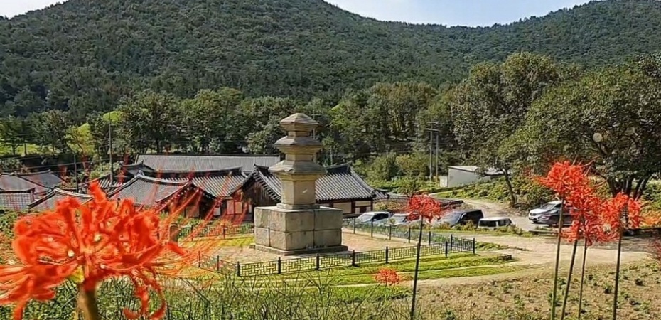 慶州國家療養公園6.jpg