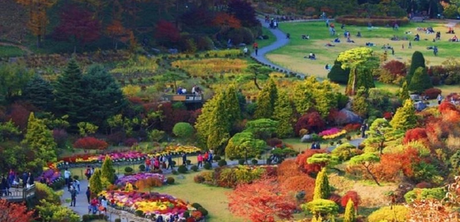 晨靜樹木園3.jpg