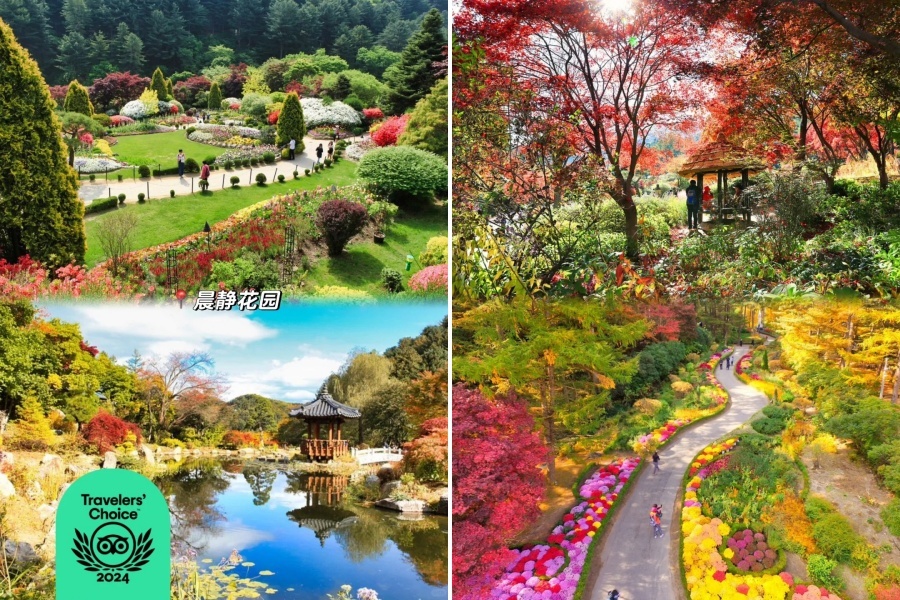 花园.jpg