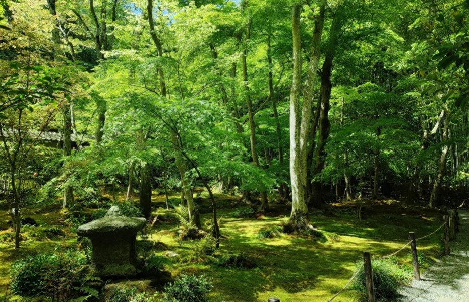 930-岚山.jpg