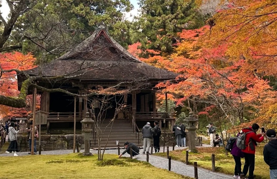 930-枫叶.jpg