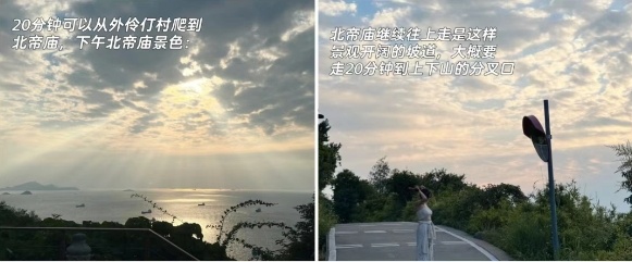 外伶仃3.png