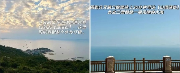 外伶仃4.png