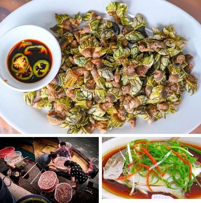 美食2.png
