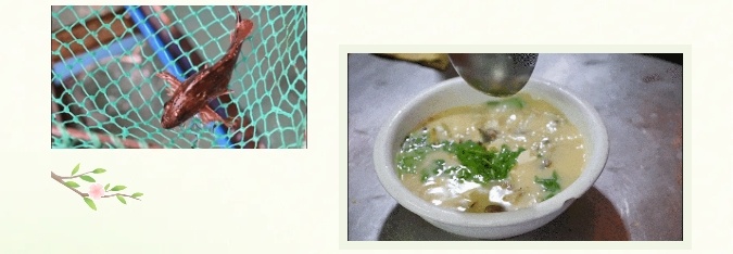 汤1.png