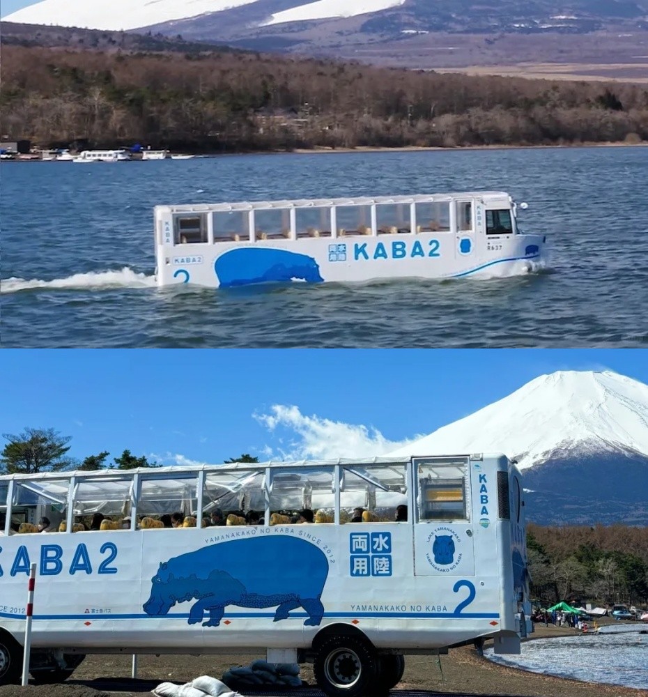 KABA河马巴士.jpg