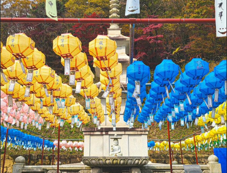 產品圖片