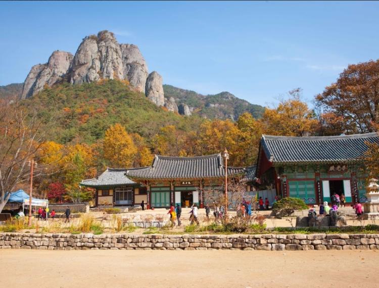 釜山出發 | 2025年韓國周王山賞楓一日遊