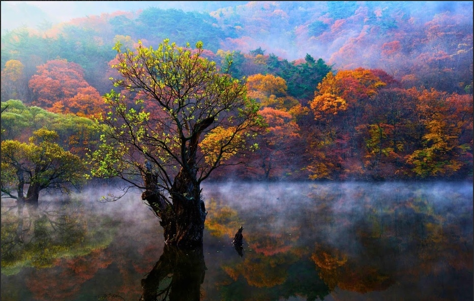 周王山8.png