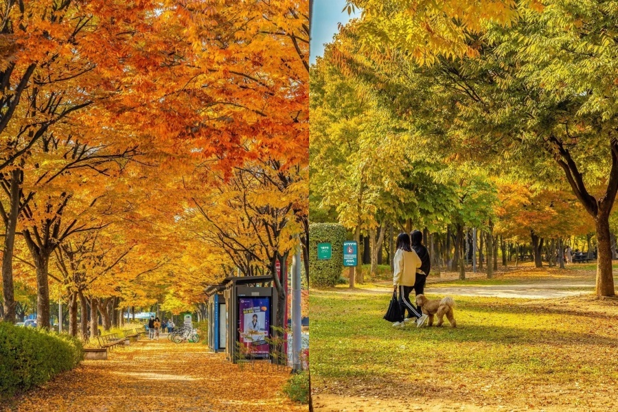 大学路1.jpg