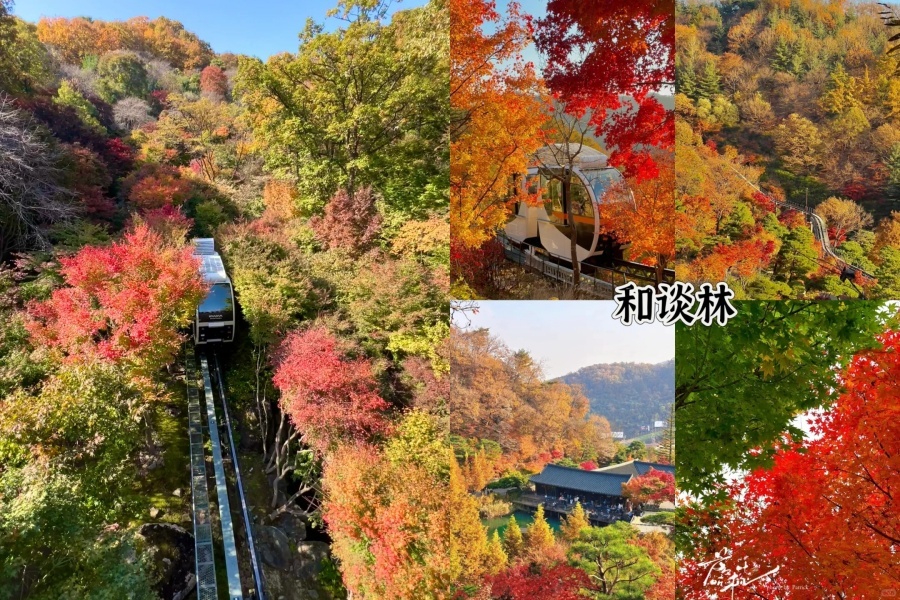 首尔林2.jpg